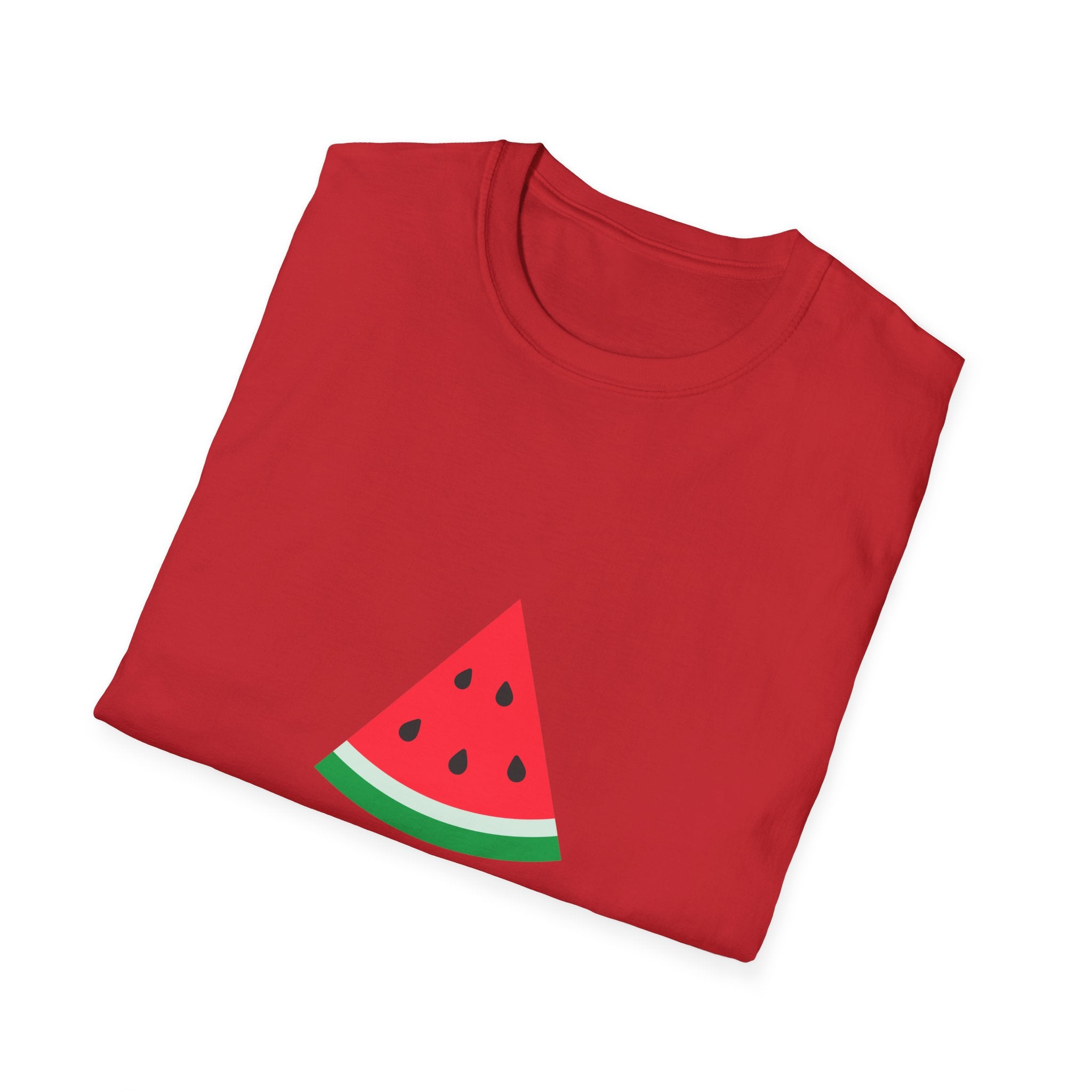 Unity & Solidarity Watermelon Print T-Shirt - Embrace Palestinian Cause with Style