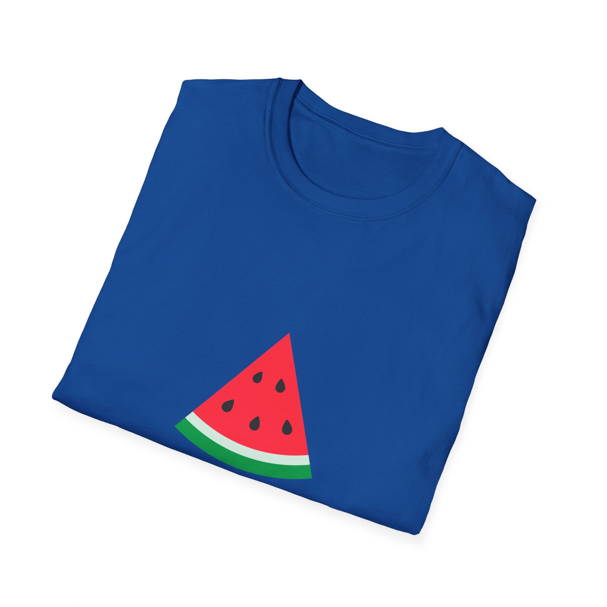 Unity & Solidarity Watermelon Print T-Shirt - Embrace Palestinian Cause with Style