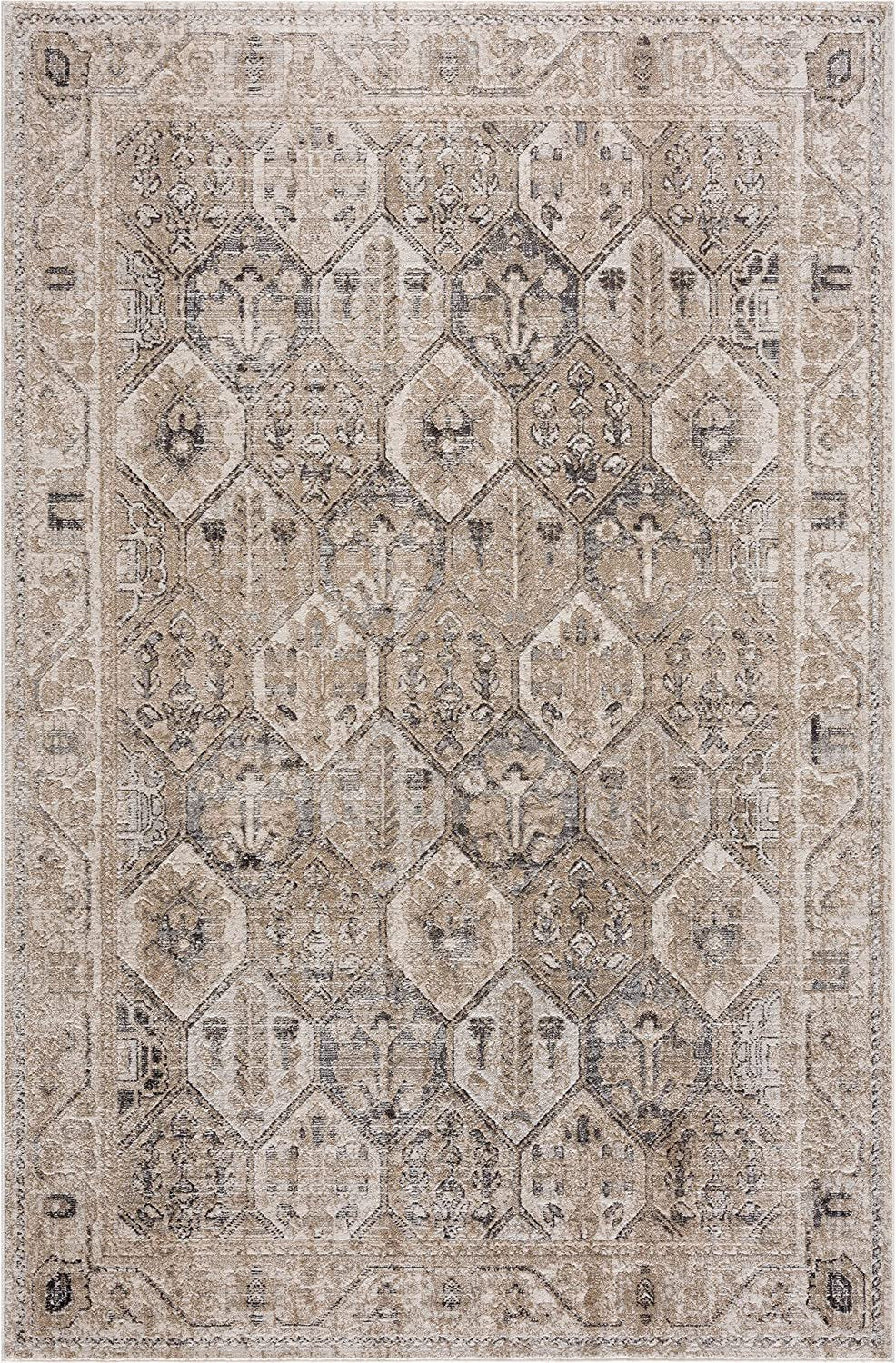 Troya Beige/Gray 4X6 Rug - Traditional Persian Area Rug for Living Room, Bedroom, Dining Room, and Kitchen - Exact Size: 4' X 6'