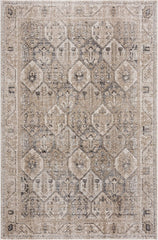 Troya Beige/Gray 4X6 Rug - Traditional Persian Area Rug for Living Room, Bedroom, Dining Room, and Kitchen - Exact Size: 4' X 6'