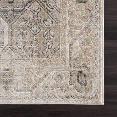 Troya Beige/Gray 4X6 Rug - Traditional Persian Area Rug for Living Room, Bedroom, Dining Room, and Kitchen - Exact Size: 4' X 6'